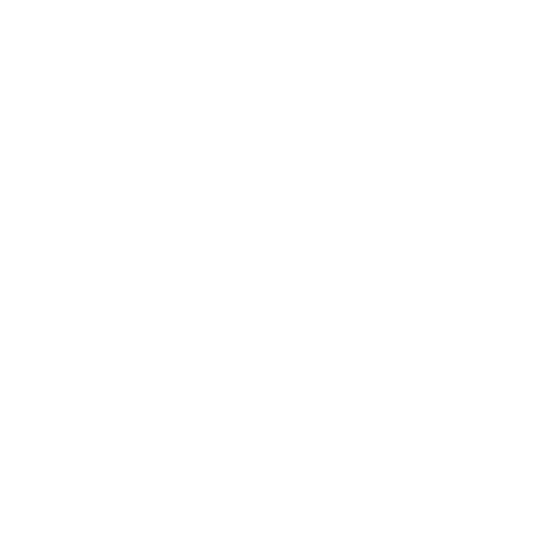 No Label Records Store